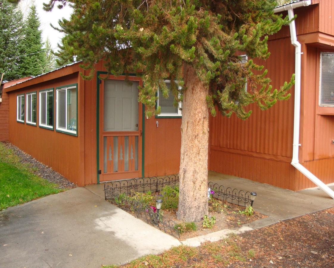 Yellowstone Wildlife Cabins West Yellowstone Zewnętrze zdjęcie